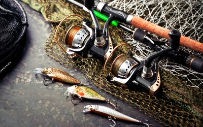 Choosing the Right Sport fishing Guide to Match Your Skill Level and Budget