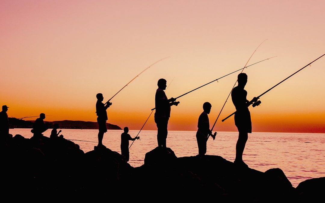 Reel in the Fun: Making the Most of Free Local Fishing Areas